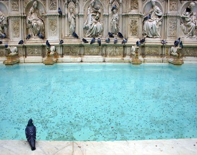 Siena-Fountain